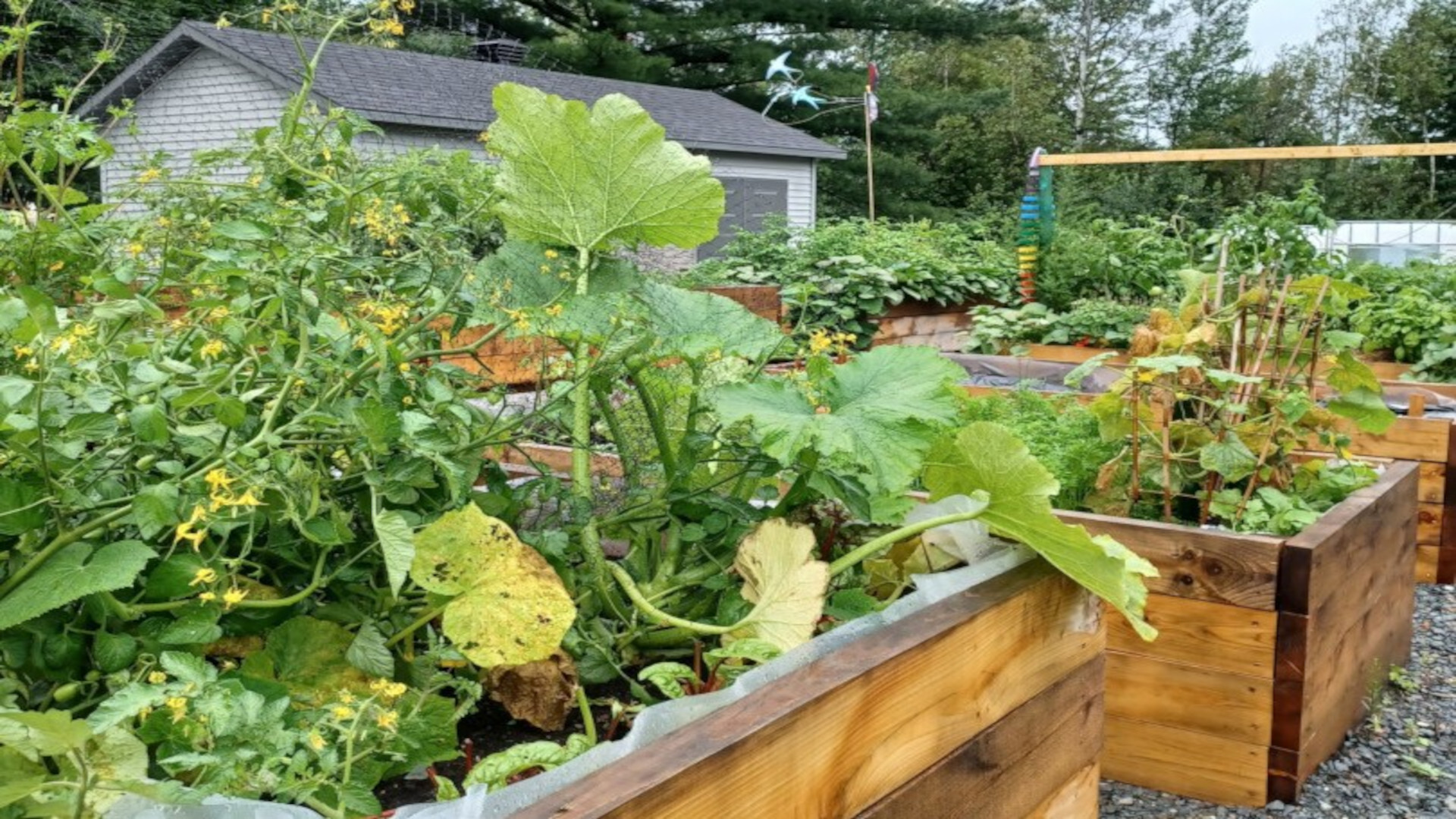 Jardin communautaire